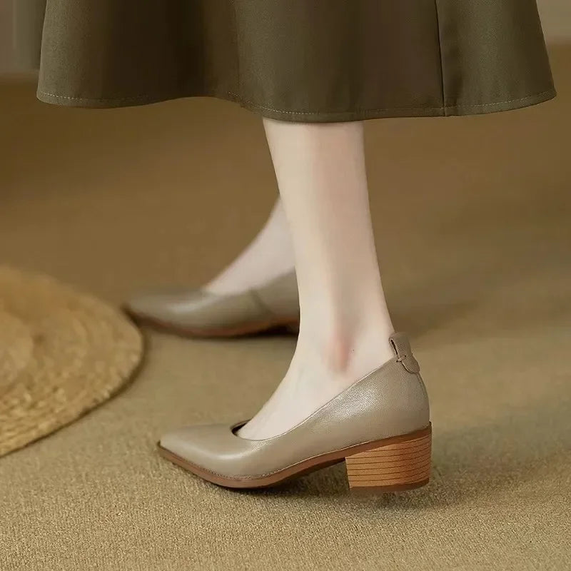 Audrey | Pointed Toe Block Heel Pumps