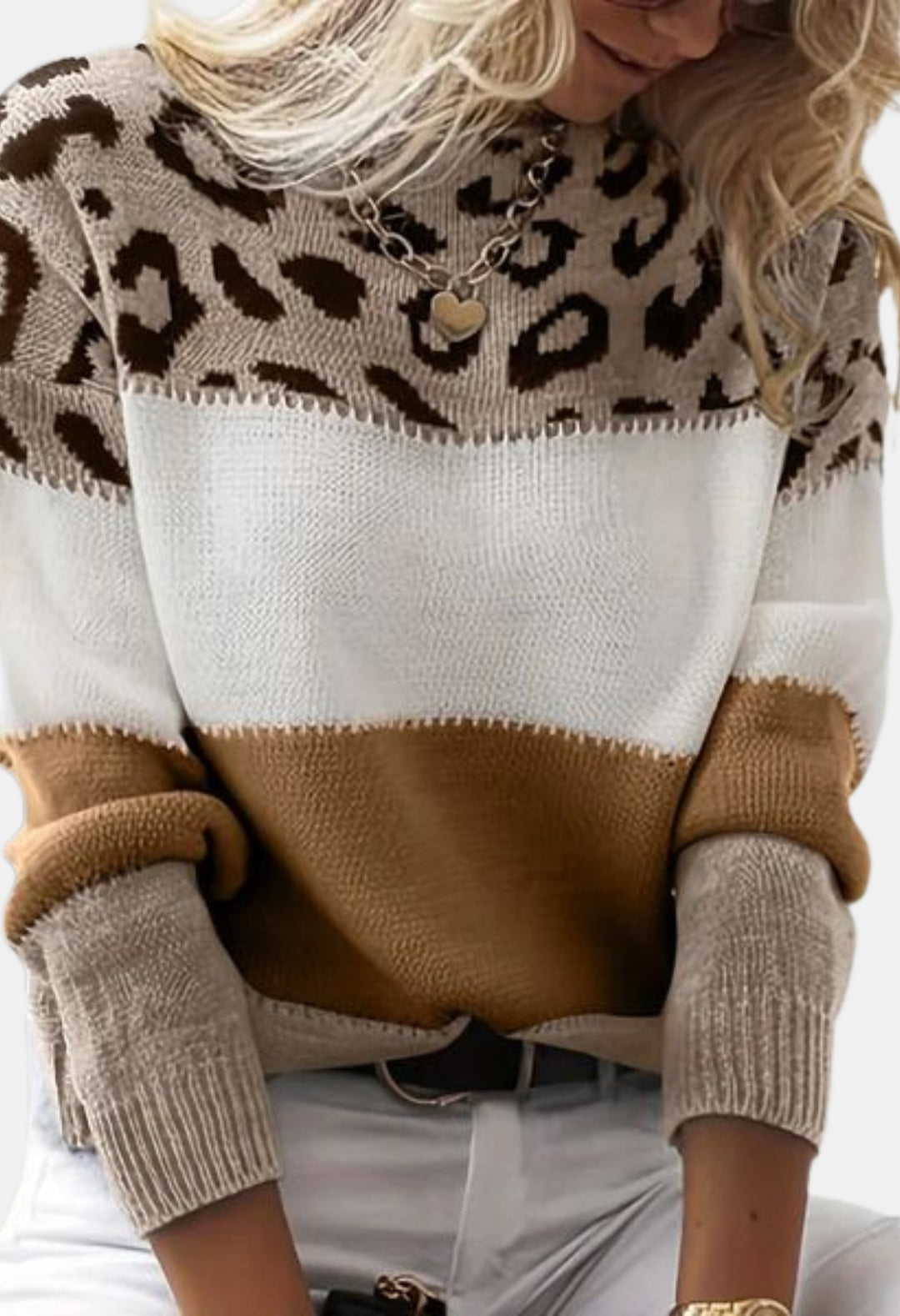 Raelyn | Leopard Contrast Panel Knit Sweater